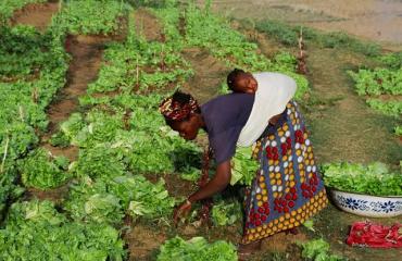 Journée internationale de la femme rurale : célébrer la résilience et l’émancipation au cœur du développement durable
