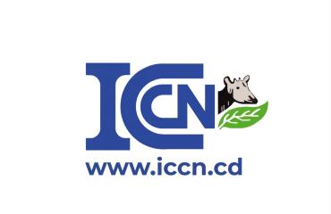 RDC : trois ans d'inactivité après, le site officiel de l'ICCN activé à nouveau