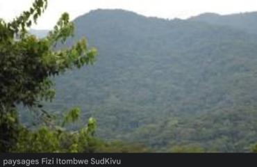 Insécurité au Sud-Kivu : les épreuves de l’ENAFEP reportées dans plusieurs localités du secteur Itombwe