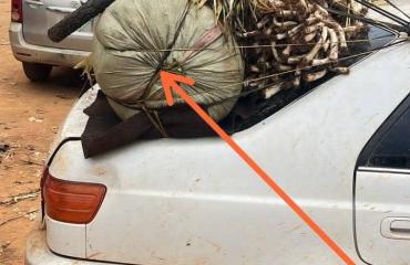 Mambasa : l’armée intercepte un nouveau chargement de munitions de guerre