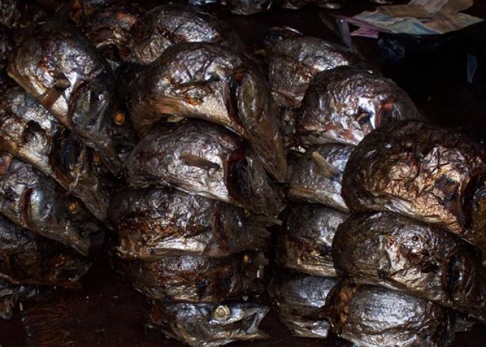 <p>Les poissons Mukeke qu’on ne retrouve que dans le lac Tanganyika</p>