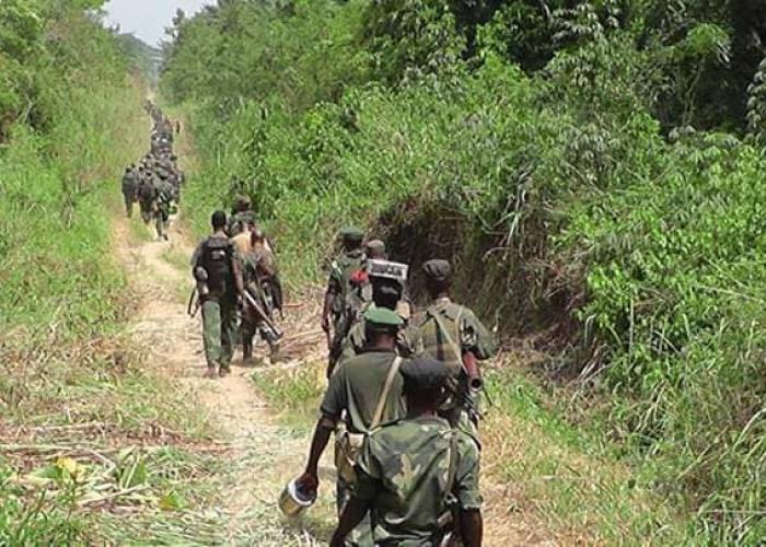 Irumu : Deux jeunes mineurs sauvés des mains des ADF par l'armée à Otomabere