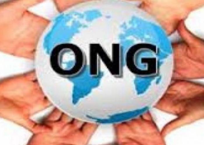 RDC : “Les ONG devront passer au contrôle pour attester leurs conformités” (Conseil des ministres)