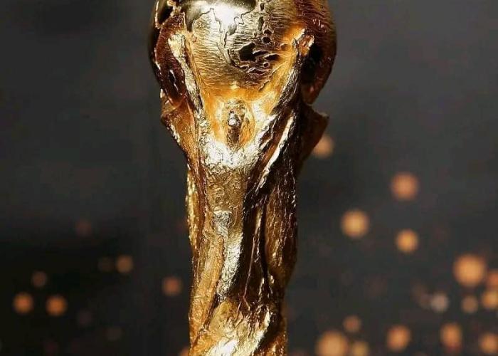 Coupe du monde : Le Maroc retenu pour la co-organisation de l'édition de 2030