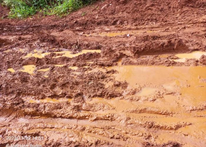 Crainte de la société civile face à la dégradation de l'axe routier Komanda-Mambasa