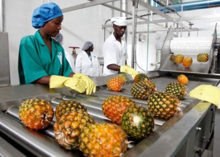 ZLECAf : une opportunité de certification ouverte aux entreprises