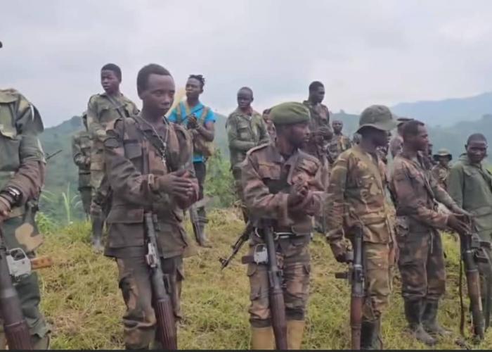 Nord-Kivu : des combattants FPP/AP de Kabido se redent aux FARDC après une allégeance controversée à l’AFC/M23