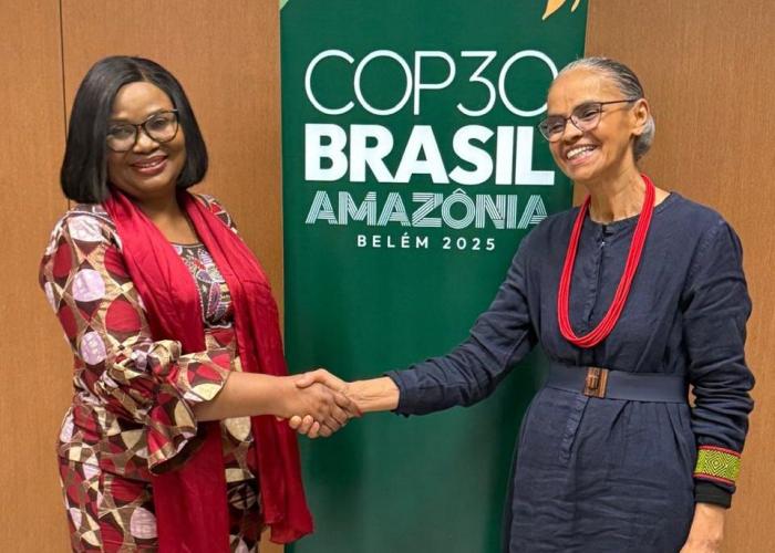 Le Brésil et la RDC veulent coaliser pour épargner le monde du changement climatique